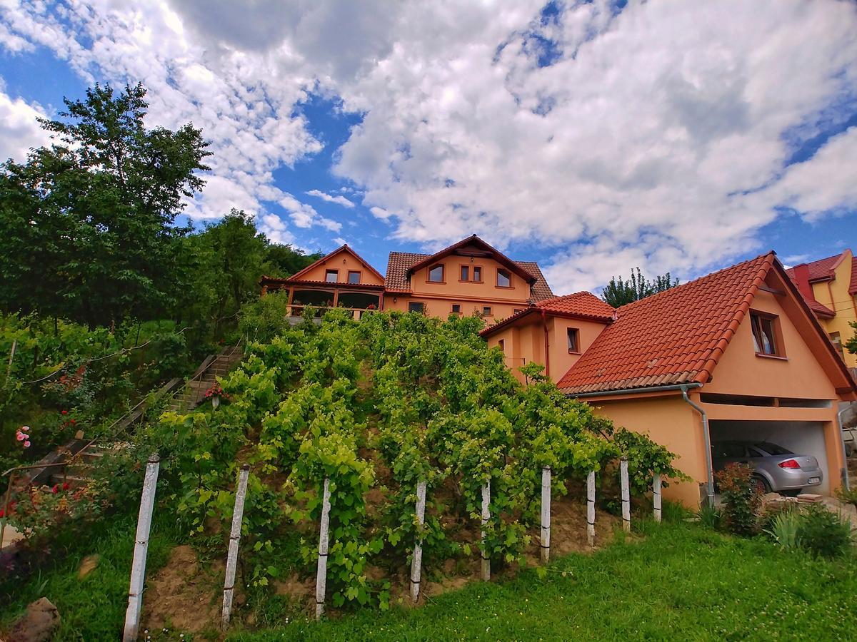 Casa Adam Hotel ซิวิโชอารา ภายนอก รูปภาพ